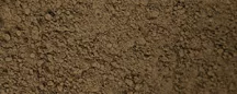 pigment Renesans 50g – umbra natural Pbr7
