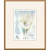 barna wooden frame SW 08 - 50x60cm