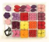 Large set - Christmas and Easter felt blanks