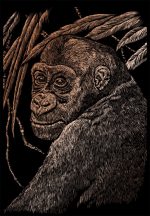 Kreatív hobby - Csimpánz