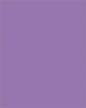 Dekorkarton, 2 oldalas, 50x70cm, 220 g, 10 lap,...