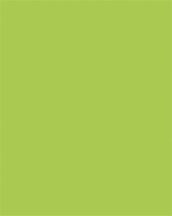 Dekorkarton, 2 oldalas, 50x70cm, 220 g, 10 lap,...