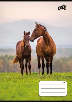 Füzet, tűzött, A5, vonalas, 32 lap, 1. osztály,... Füzet, tűzött, A5, vonalas, 32 lap, 1. osztály,...