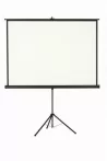 Vetítővászon, hordozható, 1:1, 200x200 cm, VICT...