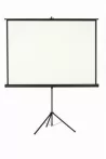 Vetítővászon, hordozható, 1:1, 240x240 cm, VICT...