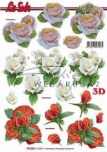 Rózsák, piros, fehér és lila, Fázisos 3D