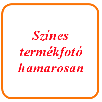 Falmatrica - Tavaszi virágok öntözőkannával
