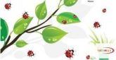 Falmatrica - Tavaszi levelek katicával #4