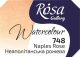 Rósa Gallery akvarell festék - egész szilke 2,5 ml - Nápolyi rózsaszín 748