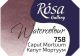 Rósa Gallery akvarell festék - egész szilke 2,5 ml - Caput Mortuum 758
