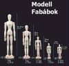 Modell Fabáb - 20 cm Modell Fabáb - 20 cm