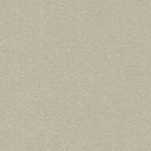   Metálfényű papír - Homokszínű metál csillogású papír 120gr, Kétoldalas - Eukaliptusz