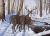 Kifestő készlet számokkal, ecsettel, felnőtteknek - 30x40 cm - Szarvasok télen Kifestő készlet számokkal, ecsettel, felnőtteknek - 30x40 cm - Szarvasok télen