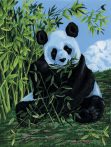 Kreatív hobby - Panda, kifestő festővászonra