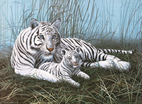 Kreatív hobby - Fehér tigris a ködben