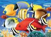 Kreatív hobby - Trópusi halak