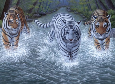 Kreatív hobby - Három tigris