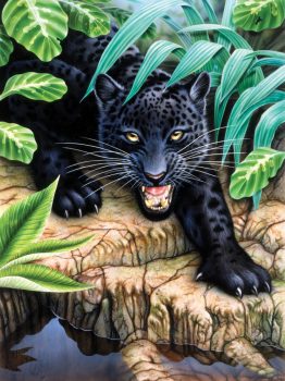 Kreatív kifestő, számos - Fekete leopard