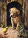 Kifestő készlet számokkal, ecsettel, gyerekeknek 8 éves kortól - 20x25 cm - Labrador kölyök