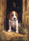 Kifestő készlet számokkal, ecsettel, gyerekeknek 8 éves kortól - 20x25 cm - Beagle kölyök