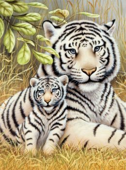 Kifestő készlet gyerekeknek - 20x25 cm - Fehér tigrisek