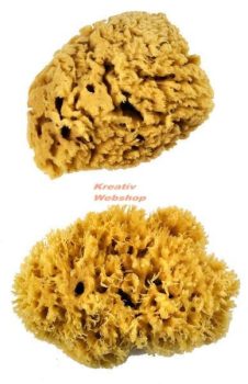 Kreatív hobby - Festőszivacs - Royal XL Sponge - természetes tengeri szivacskészlet, 2 db-os