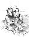 Rajztanítás - Dalmata Rajztanítás - Dalmata