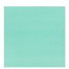 Selyempapír 25 ív/csg 20 g/m2 50 x 75 cm - Menta színű Selyempapír 25 ív/csg 20 g/m2 50 x 75 cm - Menta színű